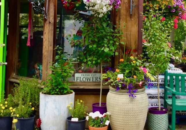 China Rose Florist & Greenhouse image