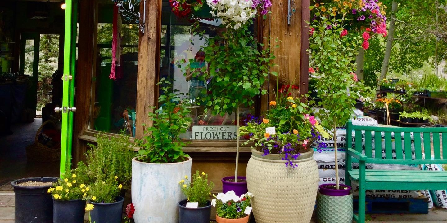 China Rose Florist & Greenhouse image