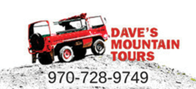 Dave's Mountain Tours logo