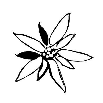 Edelweiss Wood Flooring logo