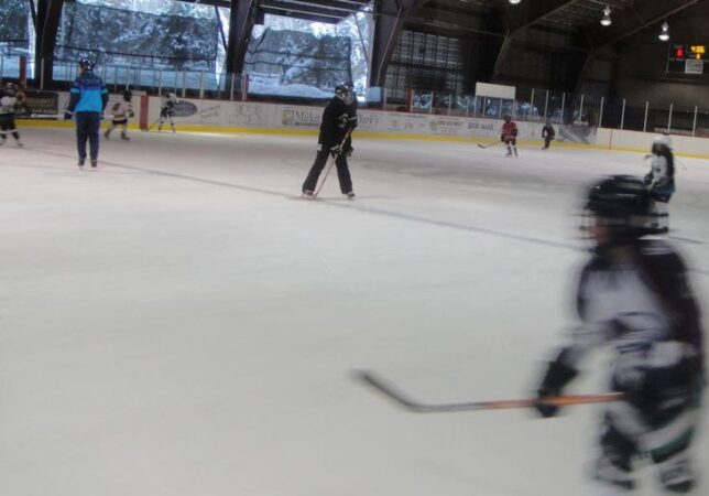 Hanley Ice Rink image