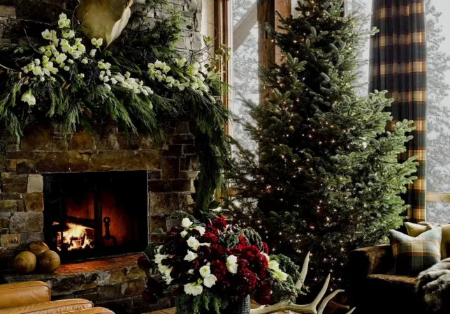 My Telluride Christmas image