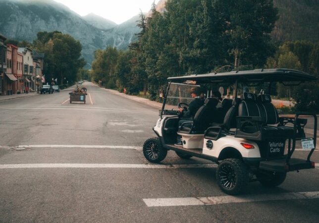 Telluride Carts image