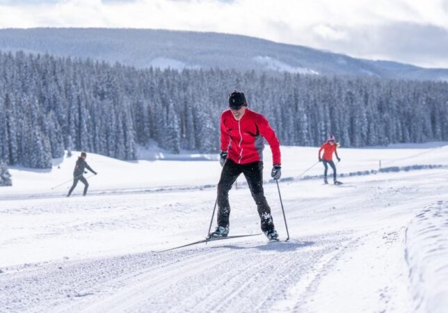 Telluride Nordic Association image