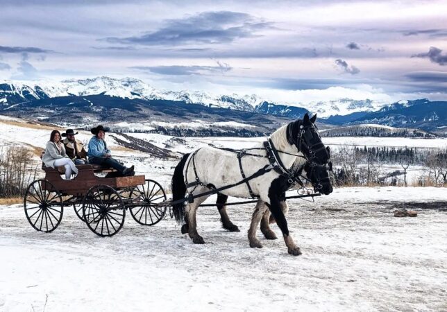 Telluride Sleighs and Wagons image