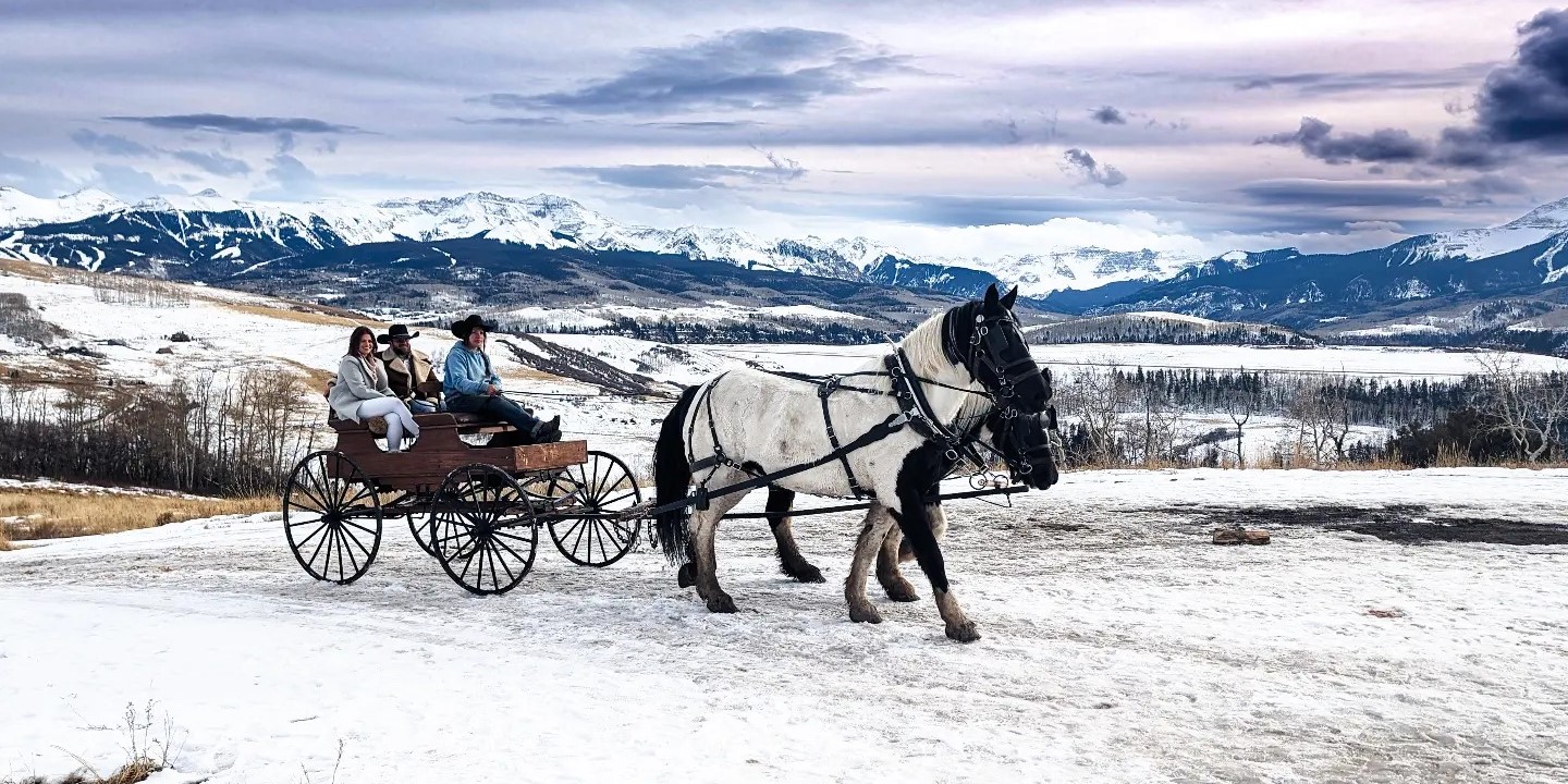 Telluride Sleighs and Wagons image