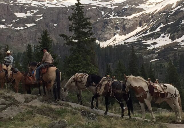 Telluride Wranglers image