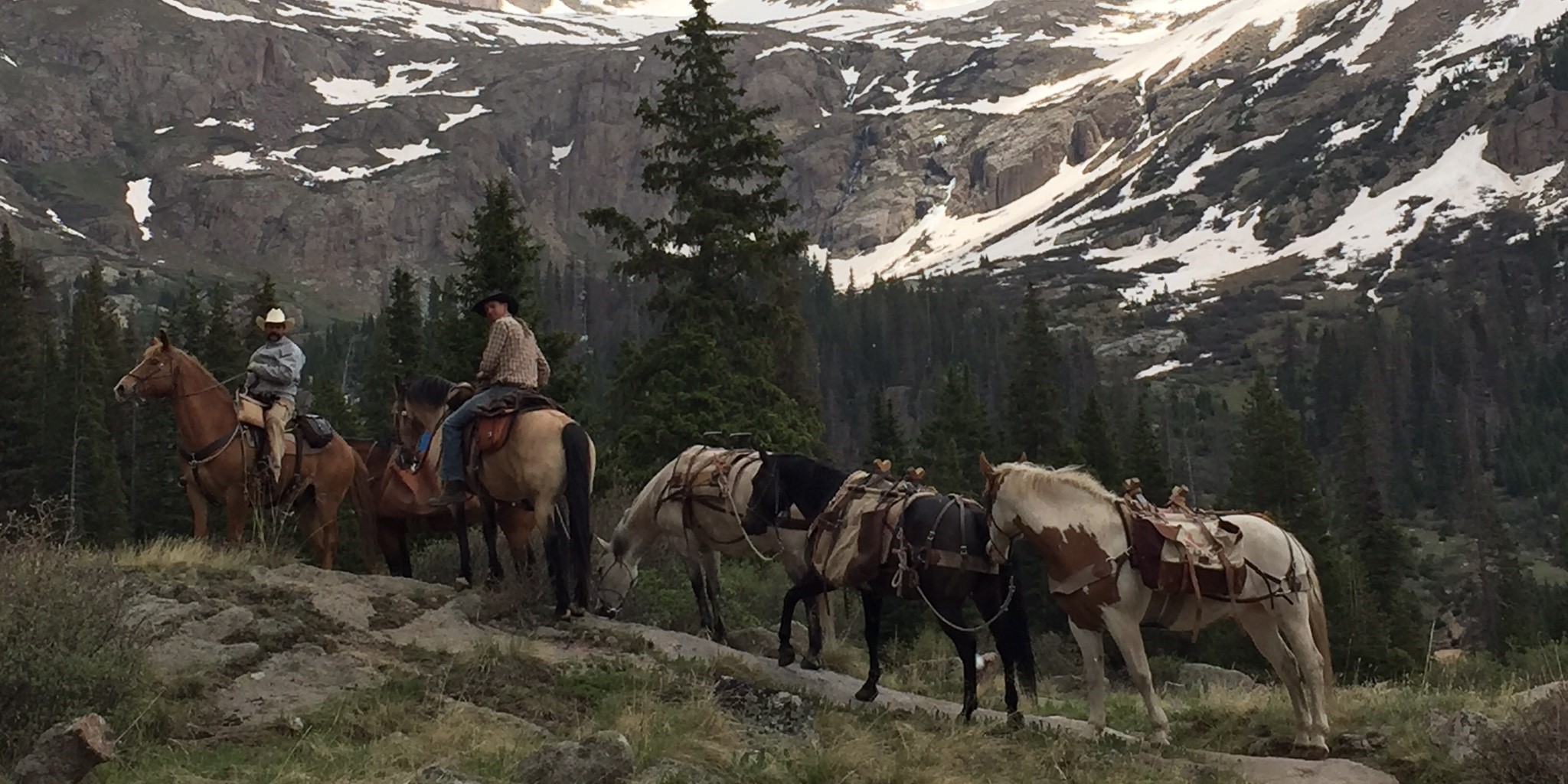 Telluride Wranglers image