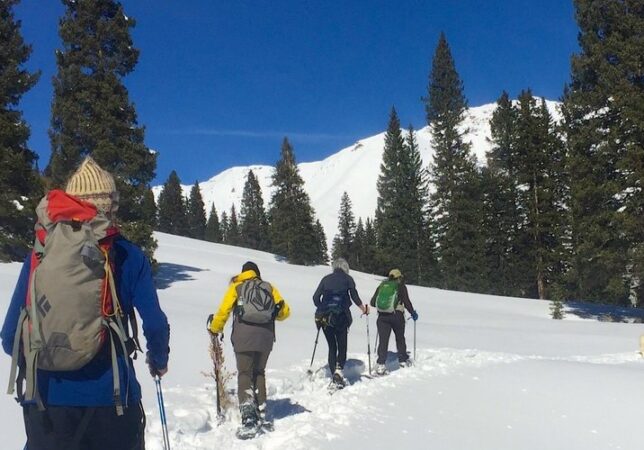 Wild Hare Snowshoe Tours image