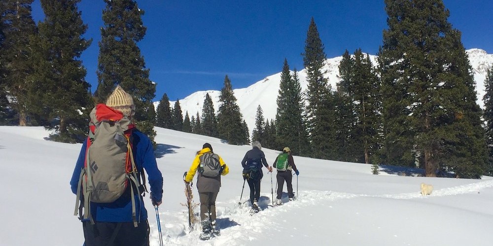 Wild Hare Snowshoe Tours image