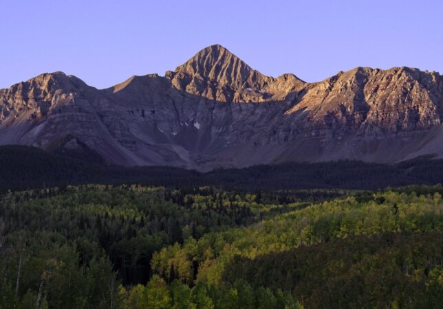 Wilson Mesa image