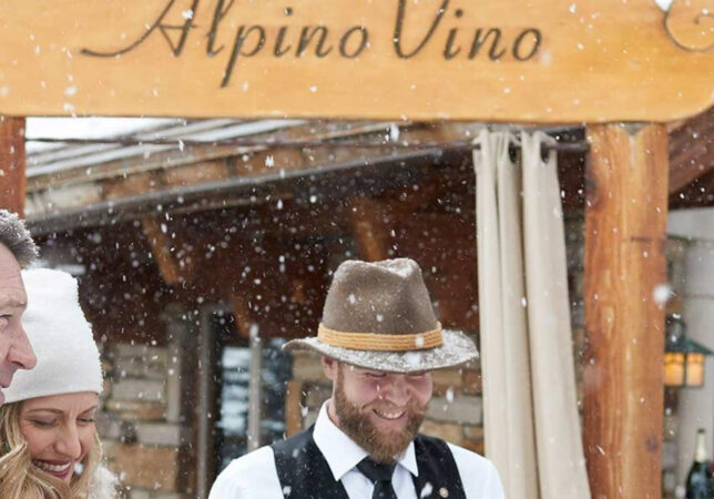 Alpino Vino image