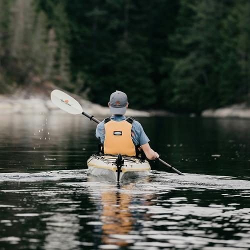 By Water Activity image
