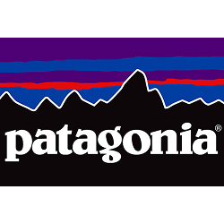 Patagonia Telluride logo